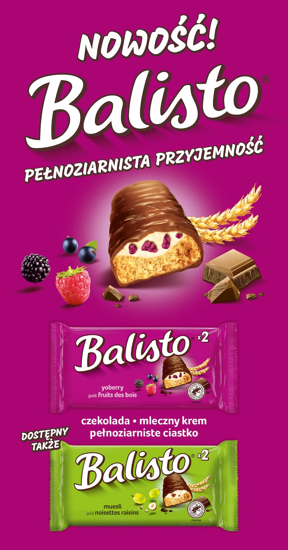 Balisto yoberry goût fruits des bois - 9